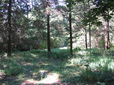 Barron Cemetery