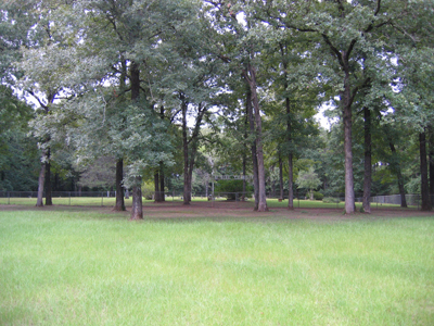 McNiel Cemetery