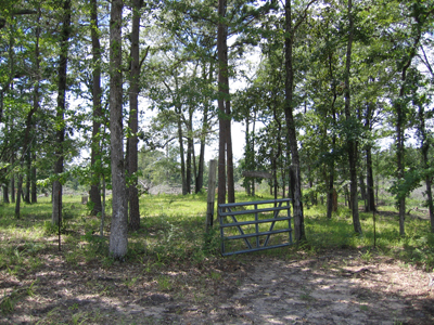 Weaver Cemetery