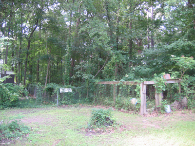 Clarks Ferry Cemetery