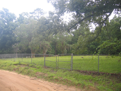 McClure Cemetery