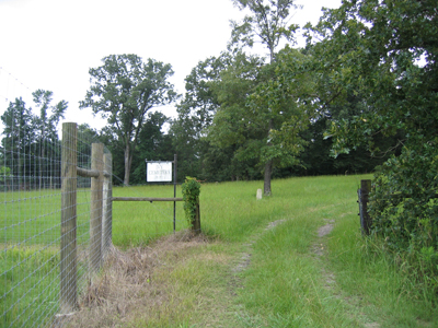 Ivy Cemetery